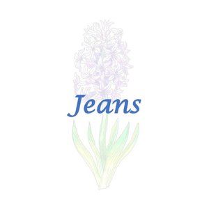 Jeans Skinny Straight Flared Stretch Distressed